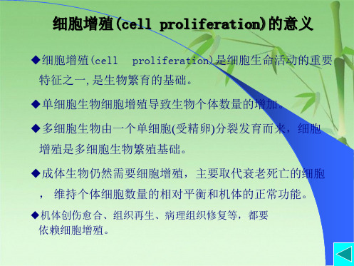   细胞增殖及其调控(共88张PPT)