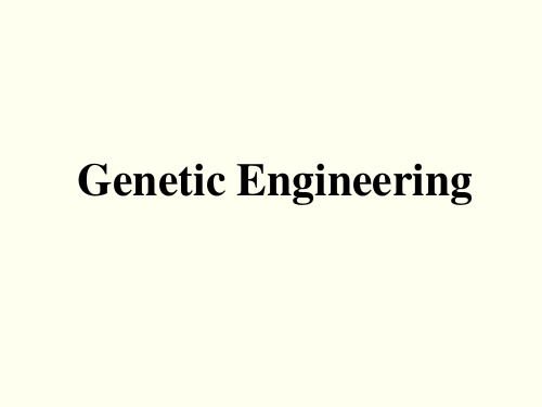 分子生物学英文课件：genetic engineering