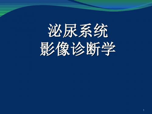 泌尿系统疾病的影像表现PPT课件