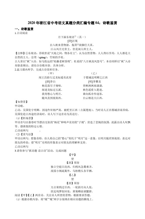 浙江省中考语文真题分类汇编专题04：诗歌鉴赏