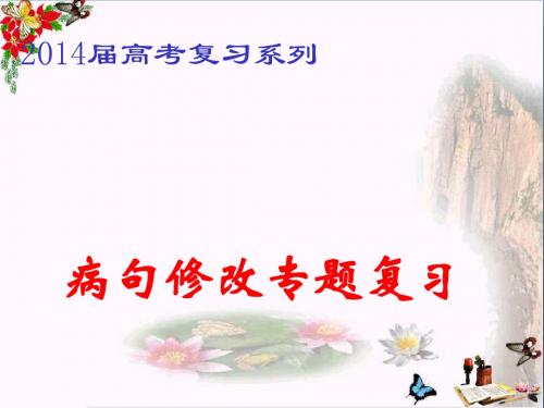 高考复习系列病句修改专题复习——表意不明 PPT精品课件