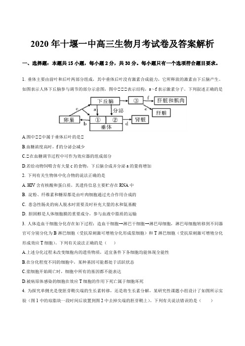 2020年十堰一中高三生物月考试卷及答案解析