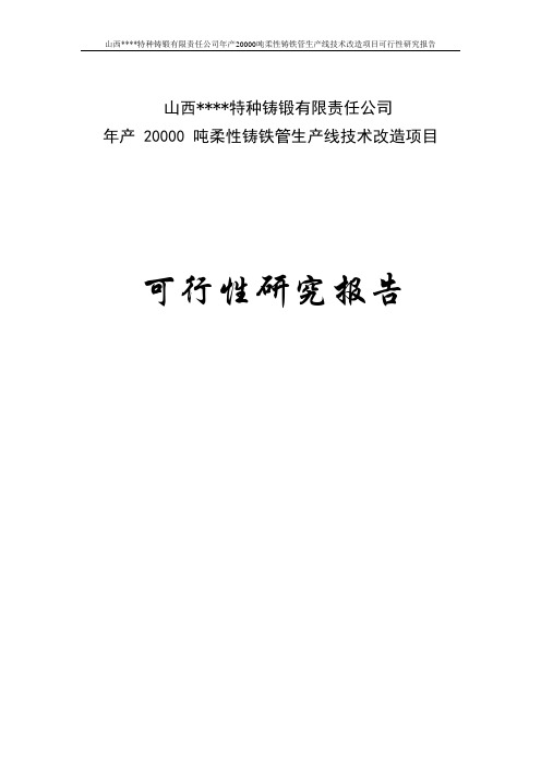 年产20000吨柔性铸铁管生产线技术改造项目可行性研究报告