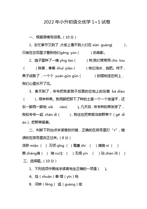 2022年小升初语文优学1+1试卷