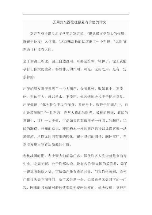 无用的东西往往是最有价值的作文