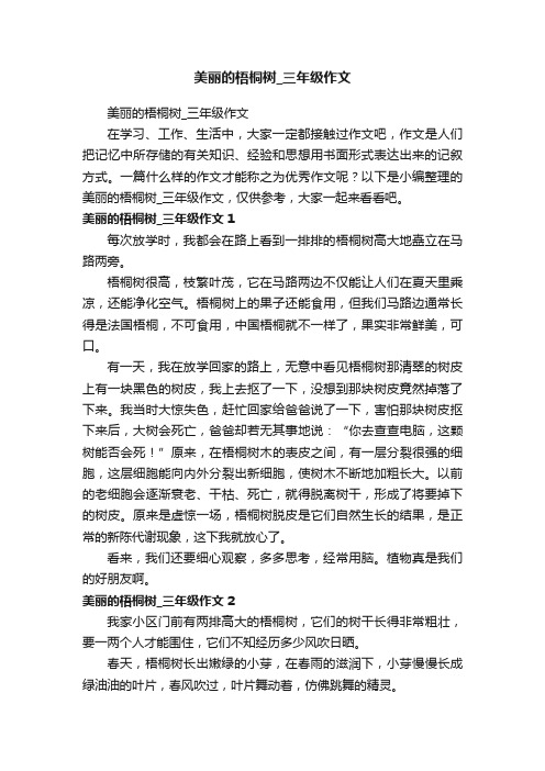 美丽的梧桐树_三年级作文