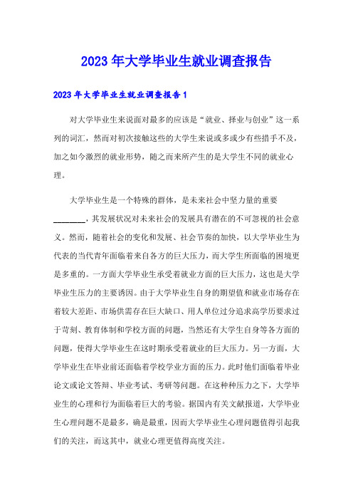 (精选)2023年大学毕业生就业调查报告