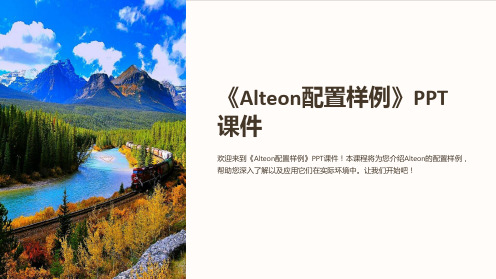 《Alteon配置样例》课件