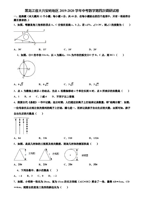 黑龙江省大兴安岭地区2019-2020学年中考数学第四次调研试卷含解析