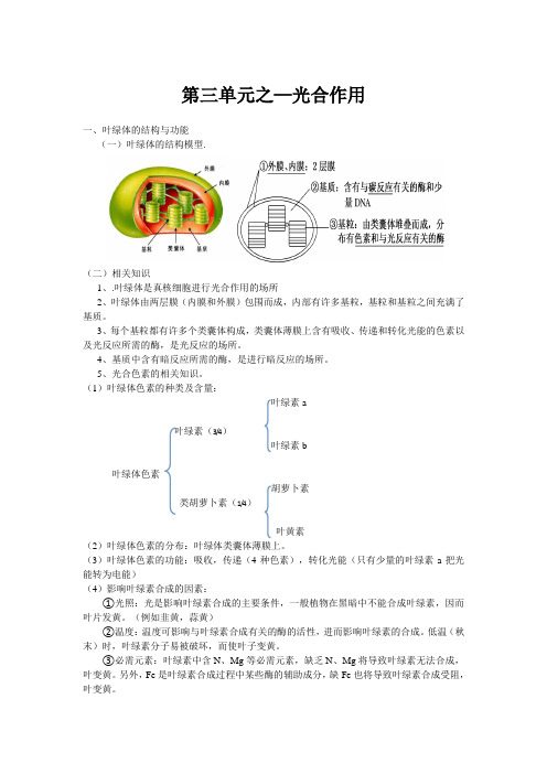 高中生物  必修1 光合作用 知识点全面总结