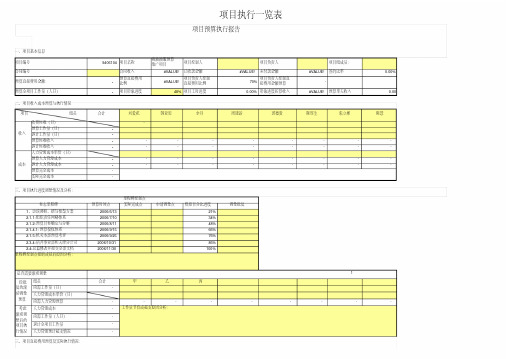 项目预算控制表