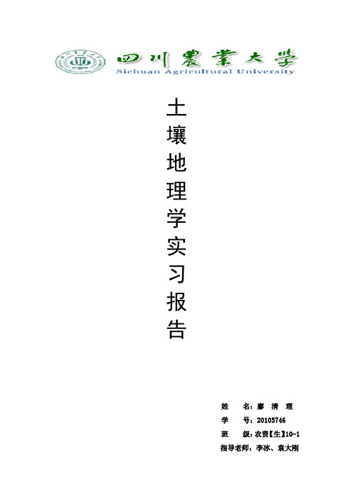 2013年土壤地理学实习报告