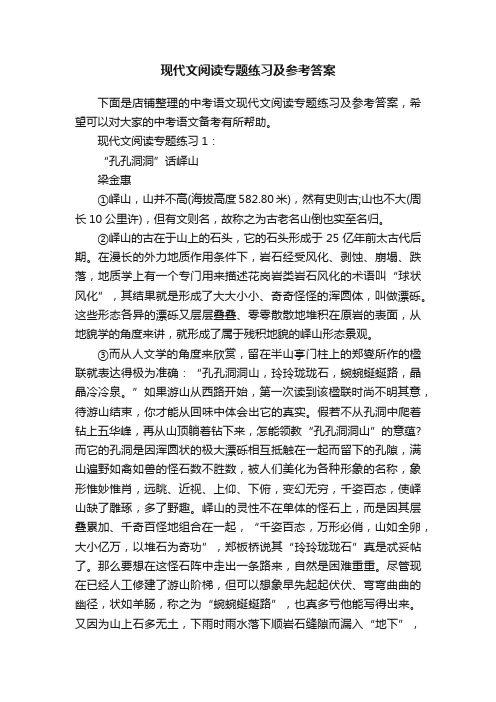 现代文阅读专题练习及参考答案