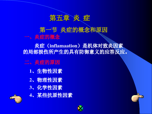 炎症 PPT