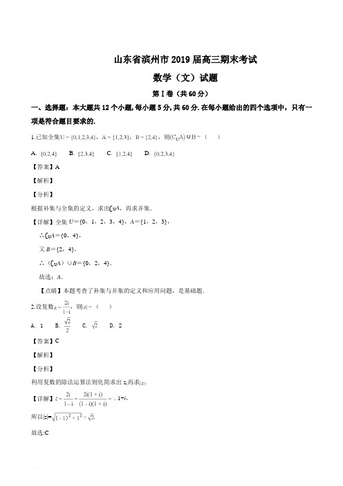 山东省滨州市2019届高三期末考试数学(文)试题(精编含解析)