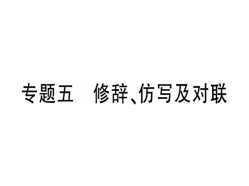 专题五 修辞、仿写及对联