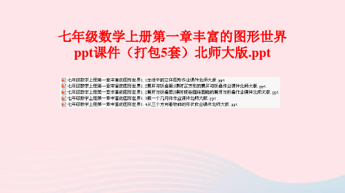 七年级数学上册第一章丰富的图形世界ppt课件(打包5套)北师大版