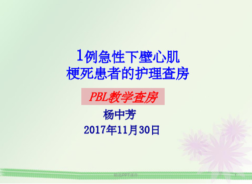 PBL护理查房PPT课件