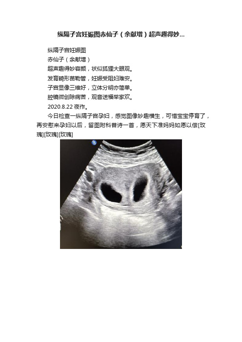 纵隔子宫妊娠图赤仙子（余献增）超声趣得妙...