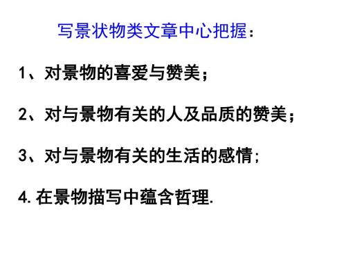 苏教版初三语文九年级上册《林中小溪》课件PPT