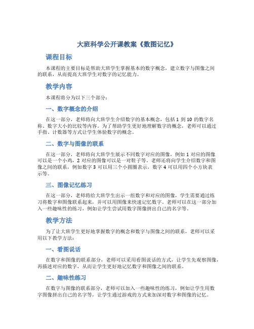 大班科学公开课教案《数图记忆》