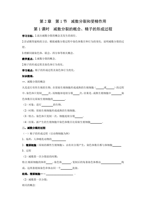 学案3：2.1.1 减数分裂的概念、精子的形成过程