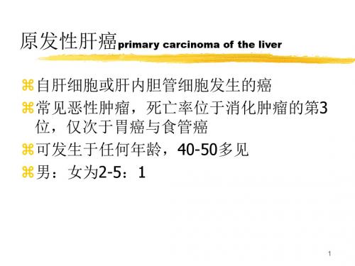 肝癌的知识介绍