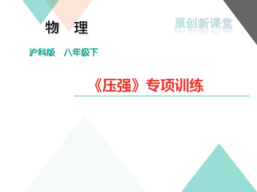 沪教版八年级物理全册专项训练压强习题