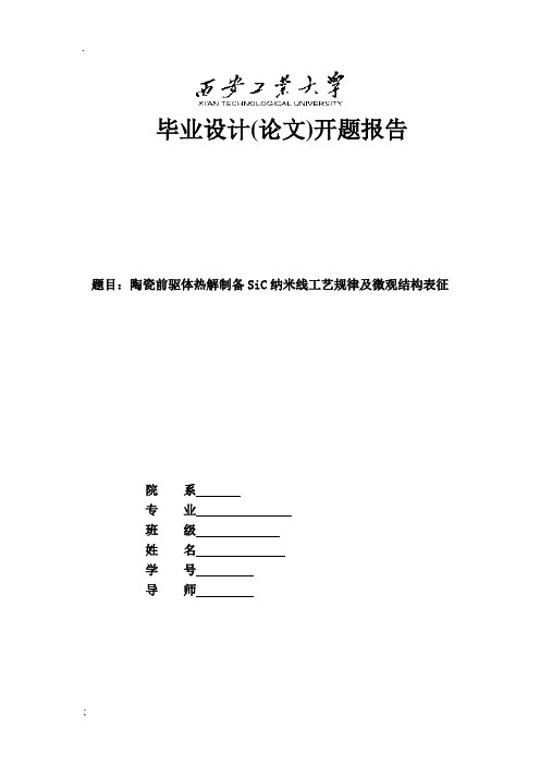 陶瓷前驱体热解制备SiC纳米线工艺规律及微观结构表征毕业设计开题报告