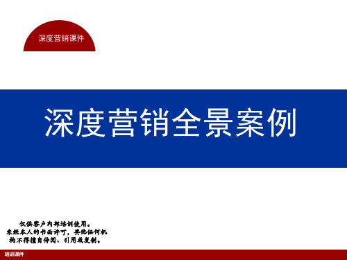 深度营销全景案例