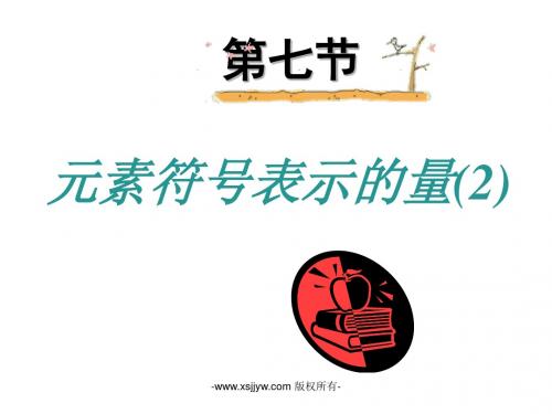 第七节  元素符号表示的量