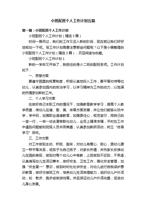 小班配班个人工作计划五篇