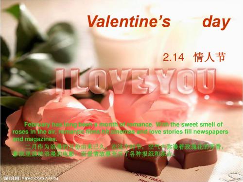 Valentine's Day情人节(英文)