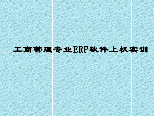 《ERP生产管理实训》ppt课件