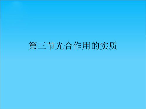 甘肃省瓜州县第二中学七年级生物上册 第6章 第3节 植物光合作用的实质课件3 苏教版