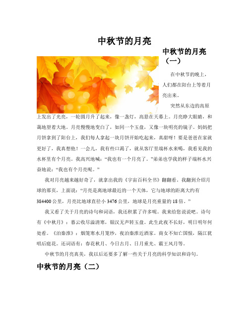 中秋节的月亮(共10篇)