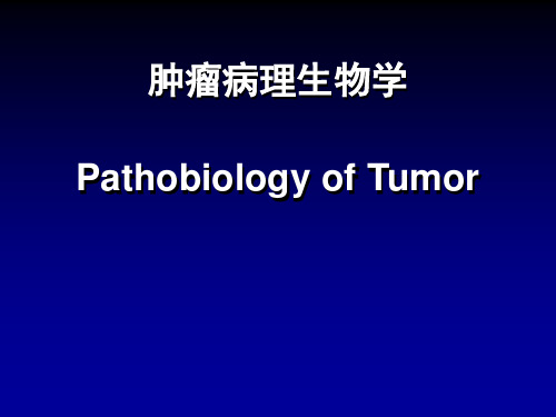 肿瘤病理生物学PPT：肿瘤病理生物学基础