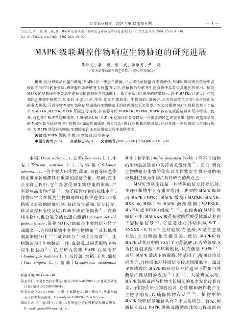 MAPK级联调控作物响应生物胁迫的研究进展