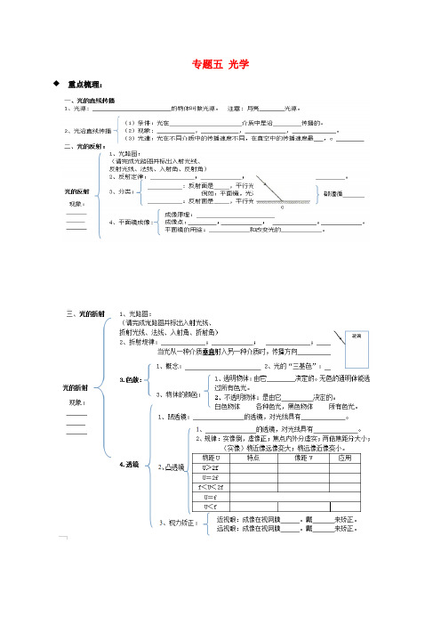 山东省临沂市2017年中考物理二轮专题复习 专题五 光学基础(无答案)