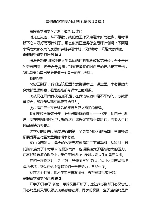 寒假新学期学习计划（精选12篇）