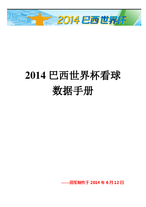 2014年世界杯看球数据手册