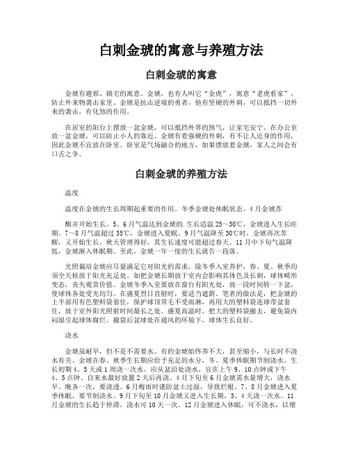 白刺金琥的寓意与养殖方法