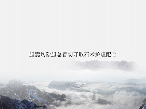 胆囊切除胆总管切开取石术护理配合讲课文档