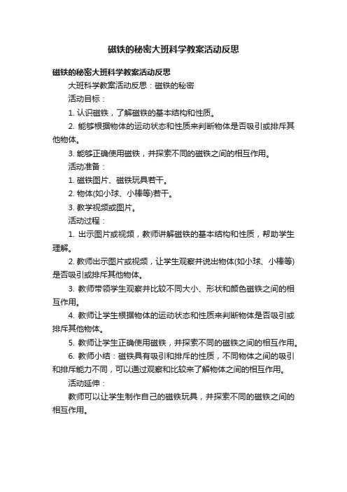 磁铁的秘密大班科学教案活动反思