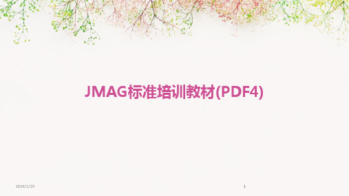 2024版JMAG标准培训教材(PDF4)