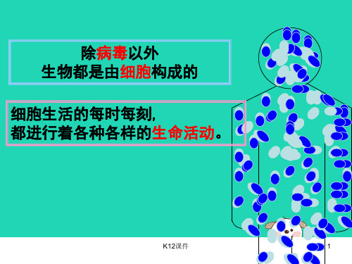 七年级生物上册 2.1.4《细胞的生活》课件1 (新版)新人教版