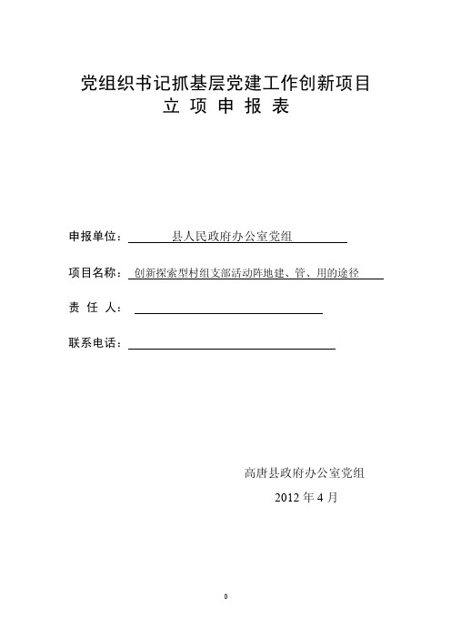 党组织书记抓基层党建工作创新项目立项申报表