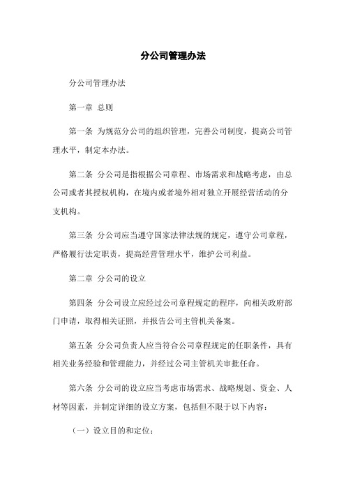 分公司管理办法