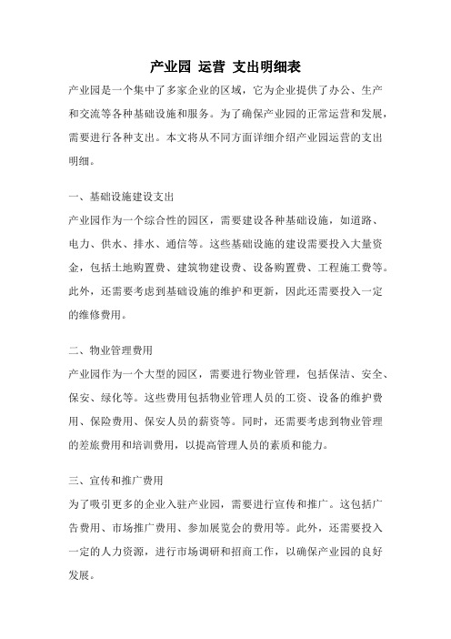 产业园 运营 支出明细表