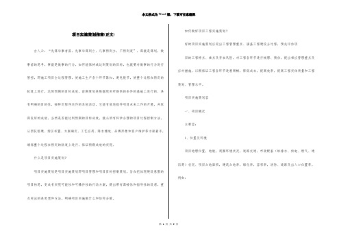 项目实施策划指南(正文)